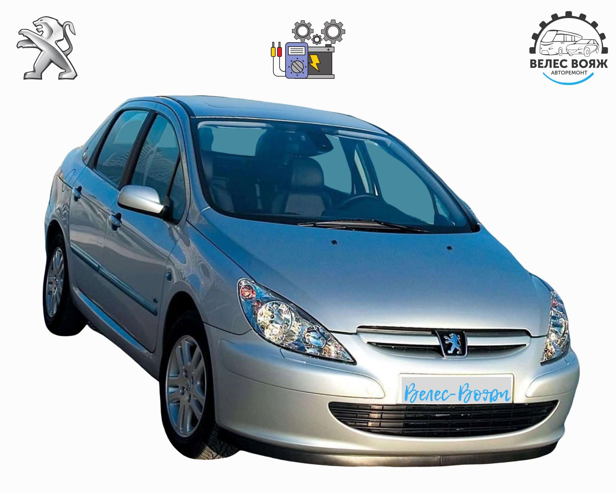 Диагностика Peugeot 307